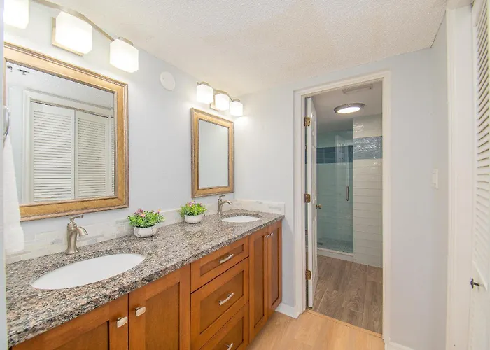 Palms 306